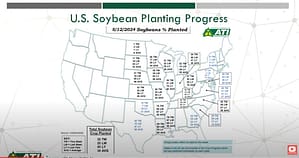 Soybean Plant Progress